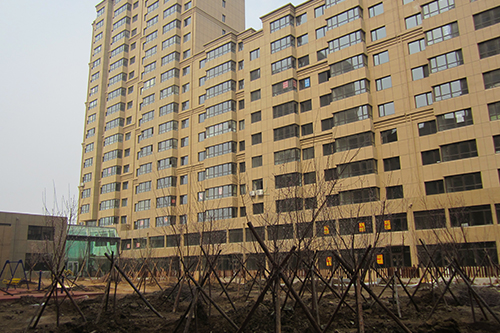 黑山金鼎桃園
